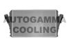 AUTOGAMMA 104043 Intercooler, charger